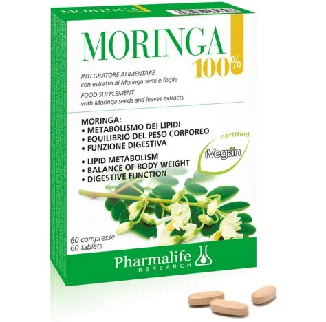 2026_06_24_2072787