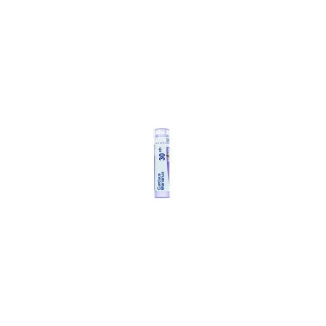 2026_06_25_35114